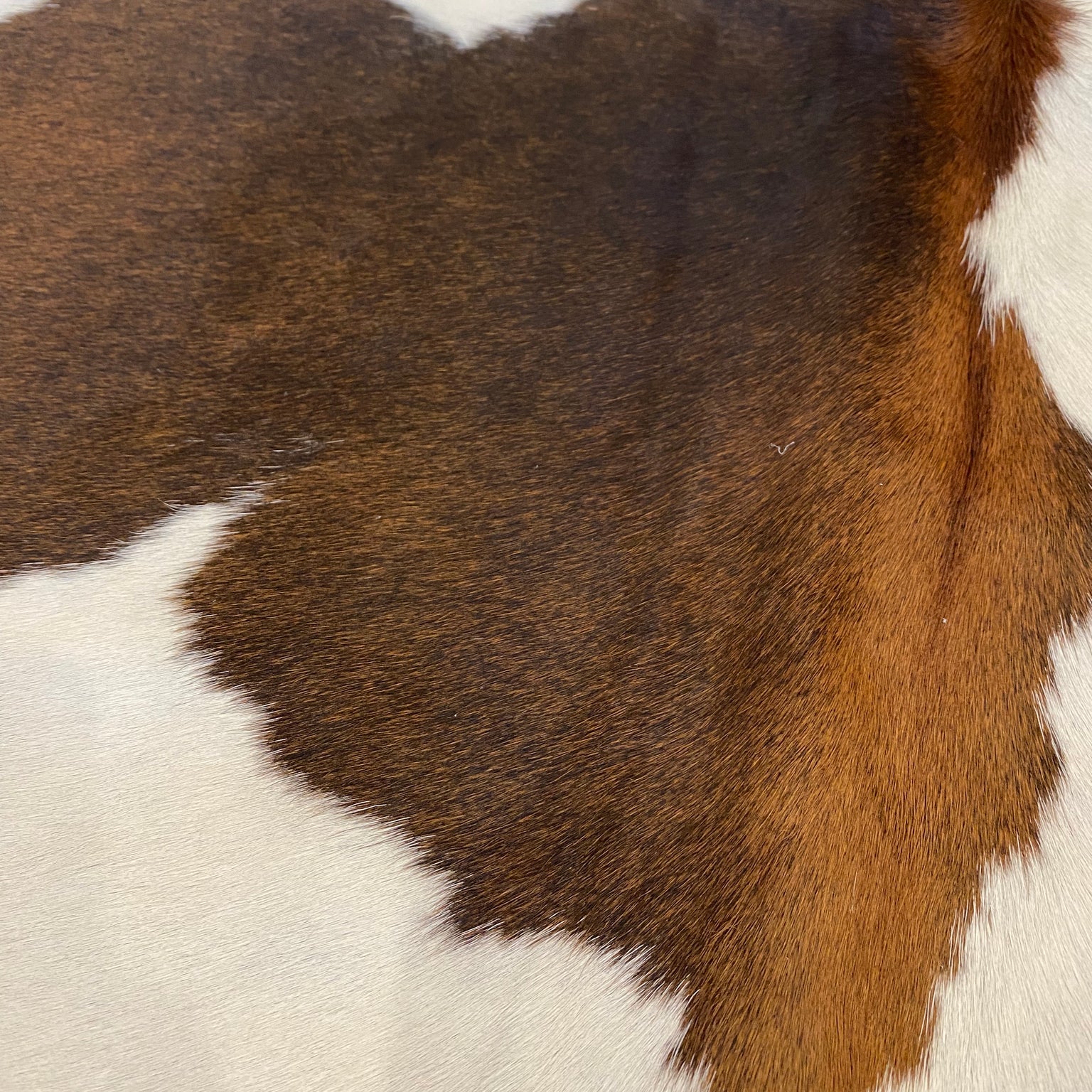 Cowhide Rugs