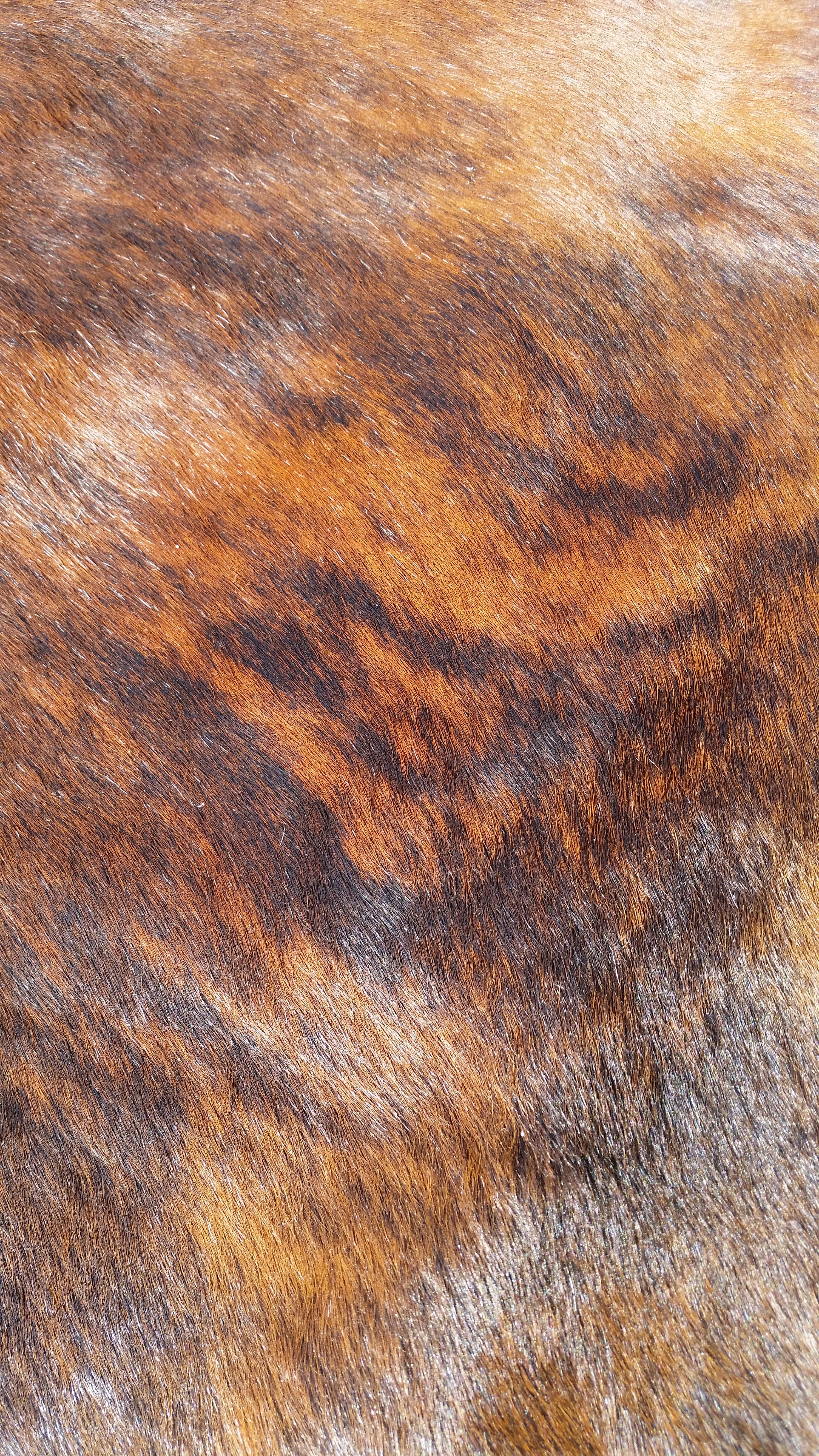 20181031_160045.jpg