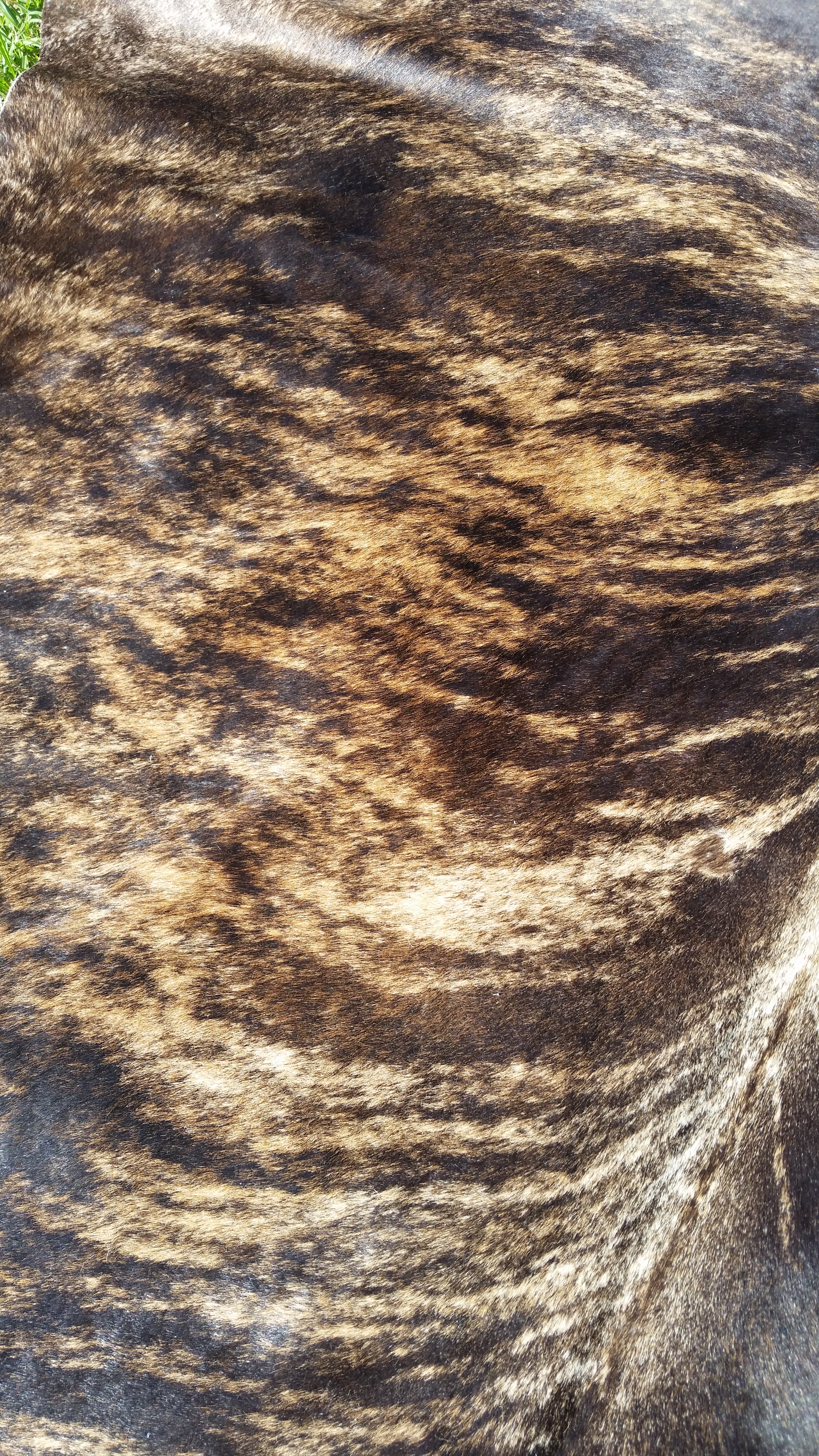 20181031_163152.jpg