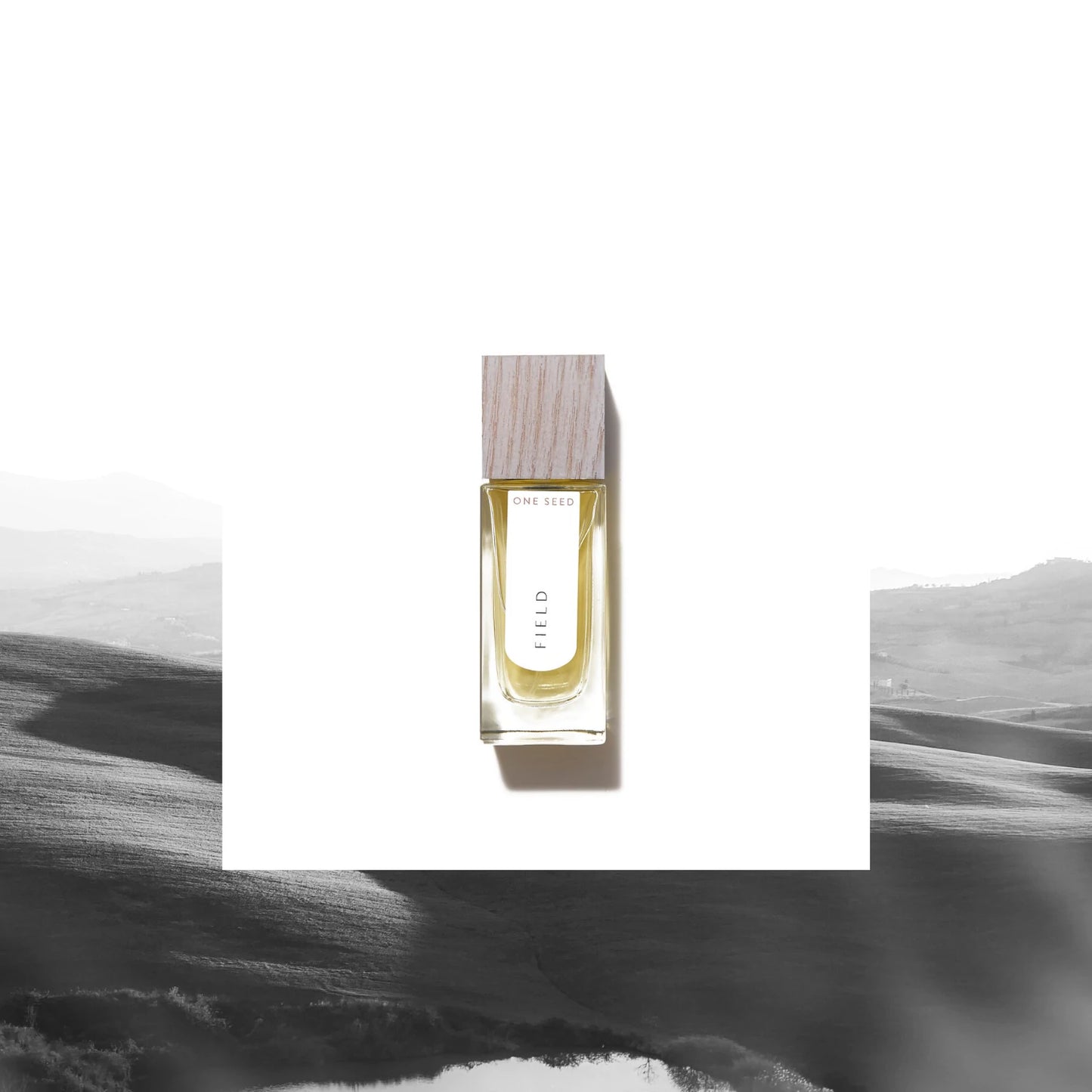 Field eau de parfum