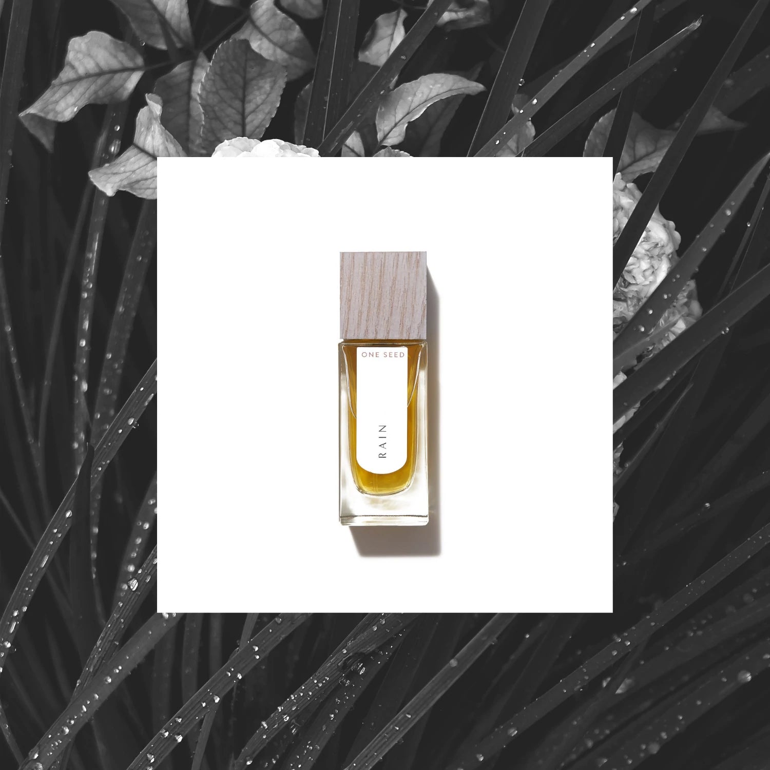 Rain eau de parfum