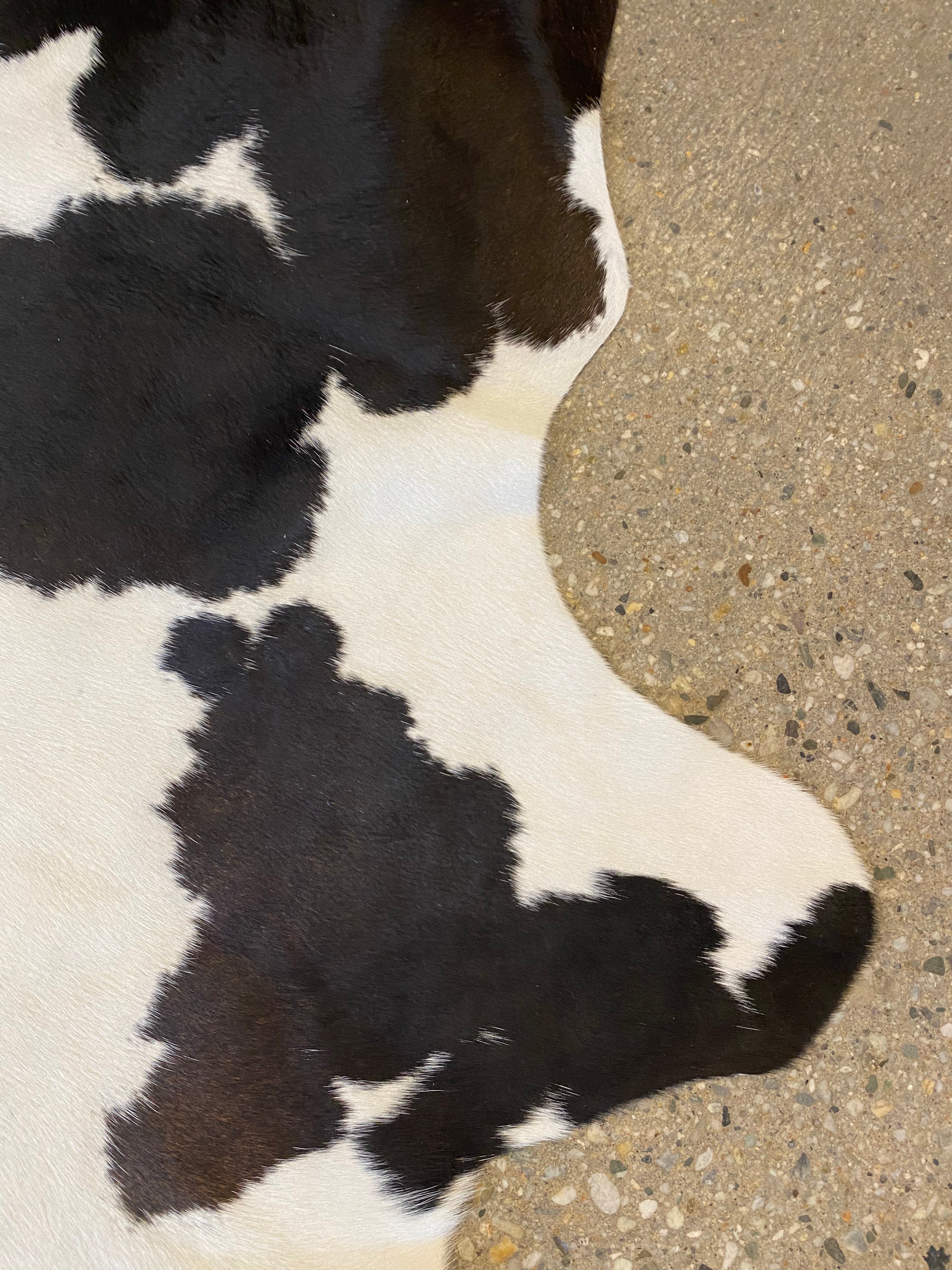 Cowhide Rug - White with Brown + Black