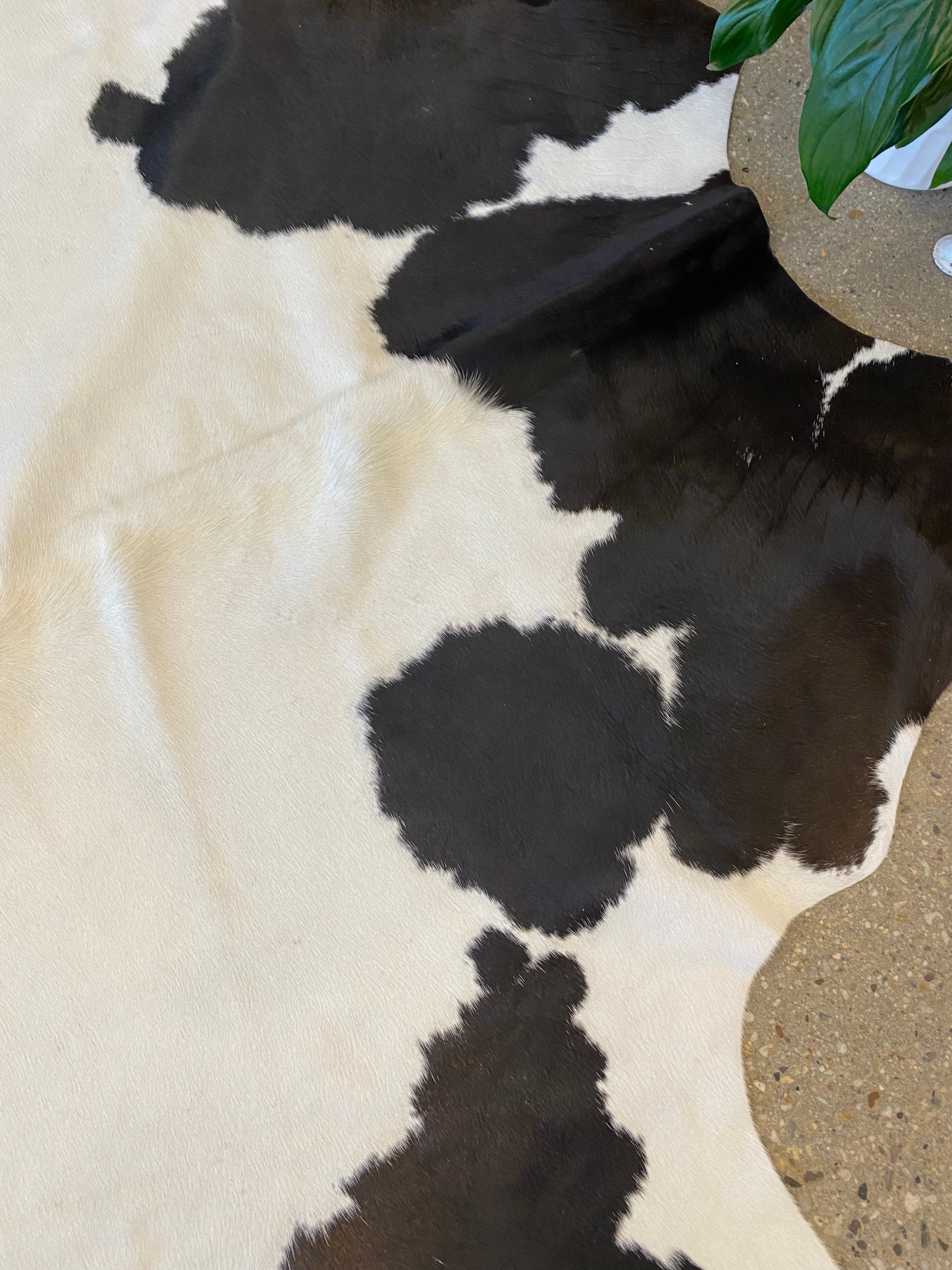 Cowhide Rug - White with Brown + Black