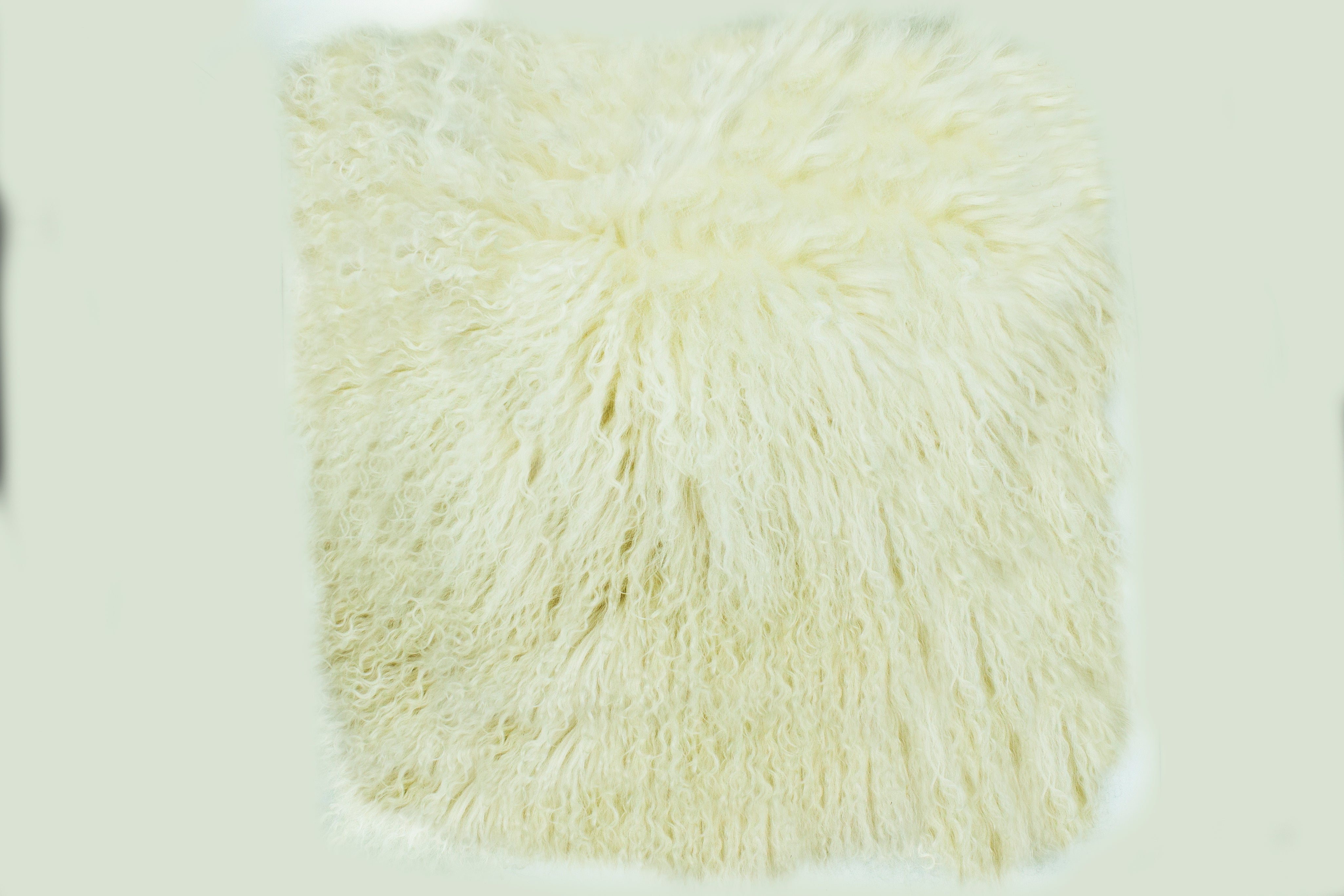Mongolian Lambswool Cushions