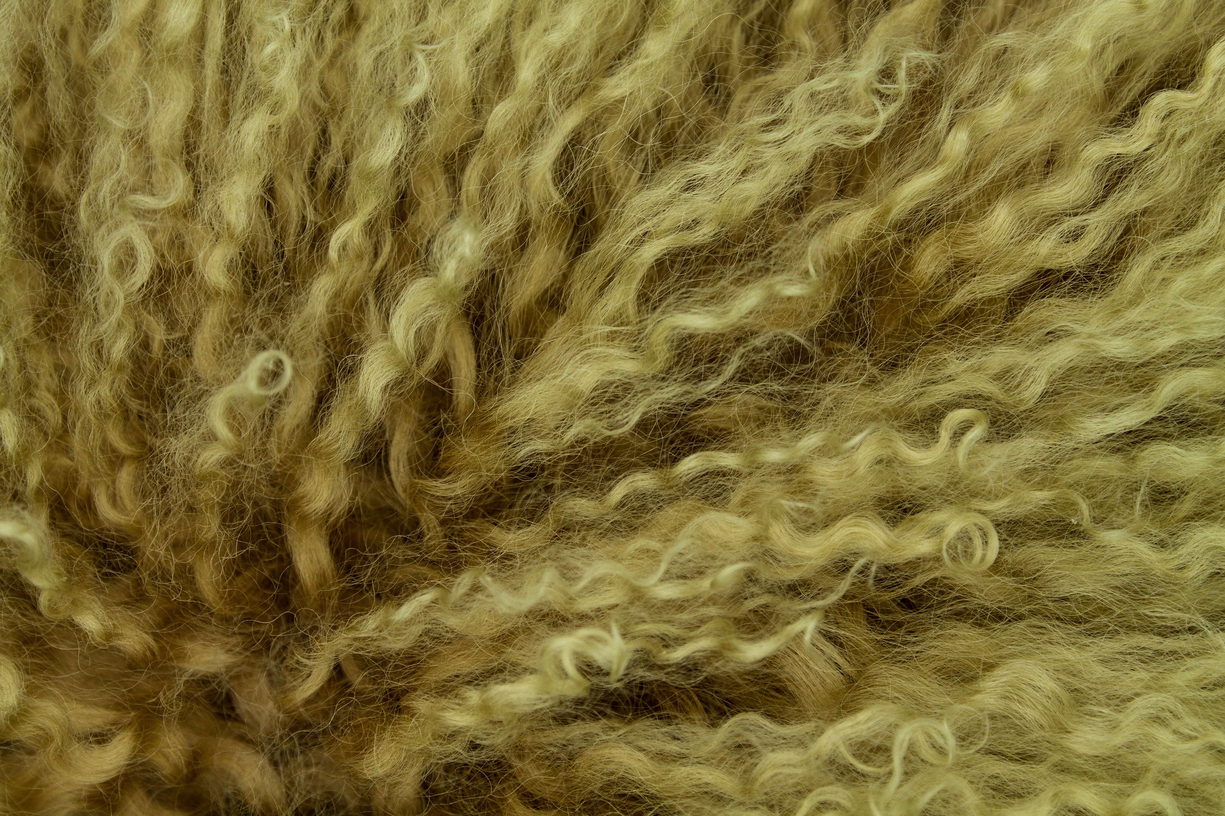 Mongolian Lambswool Cushions