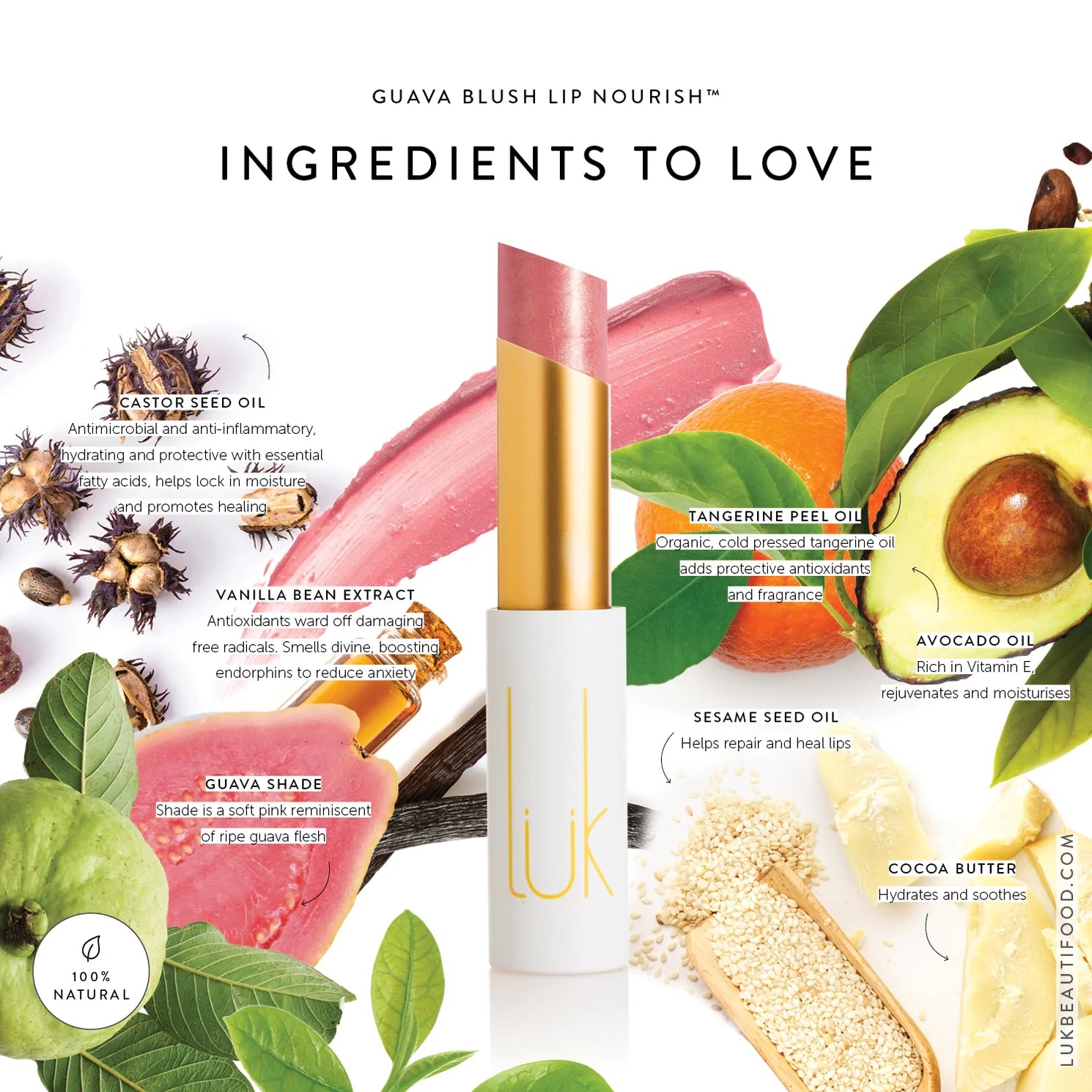 Care + Colour Lip Kit