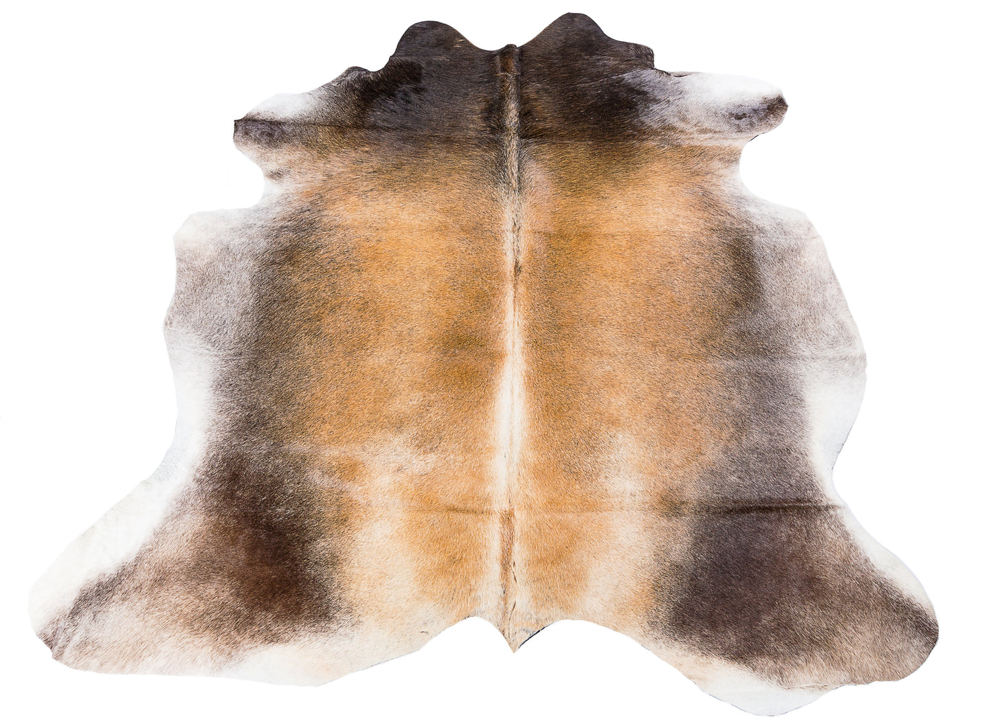 Cowhide by Category - Rancho Light